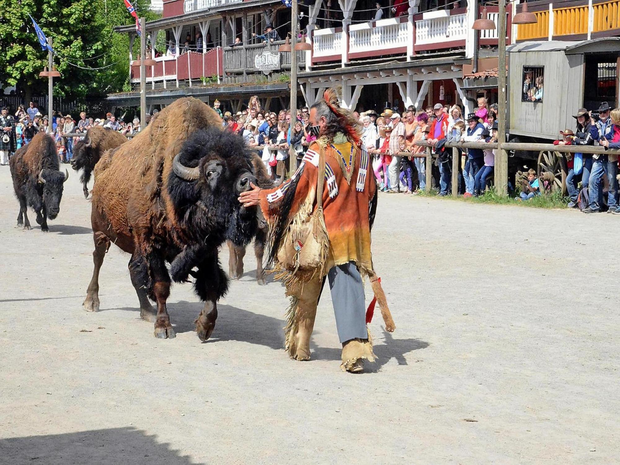 Harz Holiday Park, Hasselfelde Esterno foto